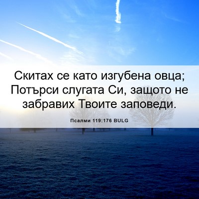 Picture 06 - Псалми 119:176 BULG - Скитах се като изгубена - Bible Verse Picture
