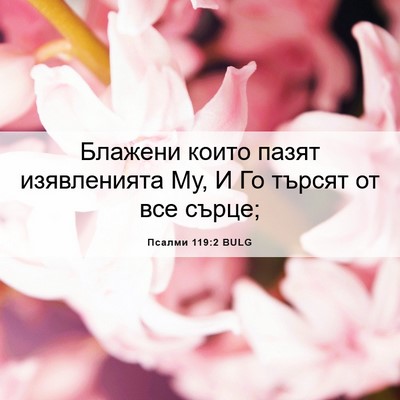 Picture 06 - Псалми 119:2 BULG - Блажени които пазят - Bible Verse Picture