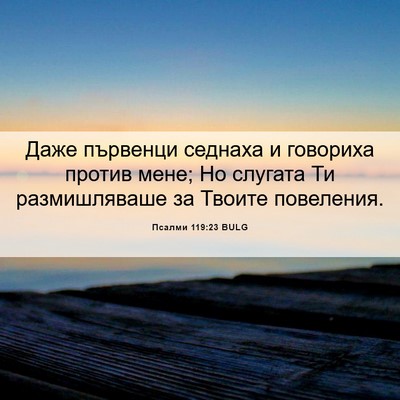 Picture 06 - Псалми 119:23 BULG - Даже първенци седнаха и - Bible Verse Picture