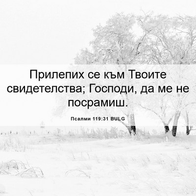 Picture 06 - Псалми 119:31 BULG - Прилепих се към Твоите - Bible Verse Picture