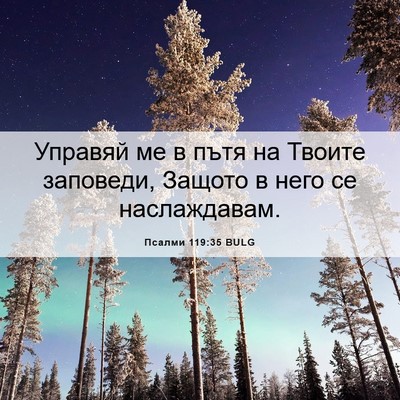 Picture 06 - Псалми 119:35 BULG - Управяй ме в пътя на Твоите - Bible Verse Picture