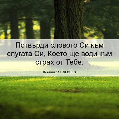 Picture 06 - Псалми 119:38 BULG - Потвърди словото Си към - Bible Verse Picture