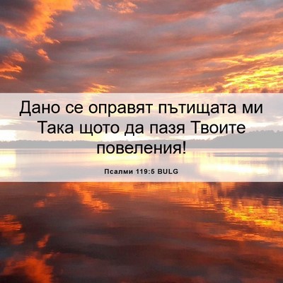 Picture 06 - Псалми 119:5 BULG - Дано се оправят пътищата - Bible Verse Picture