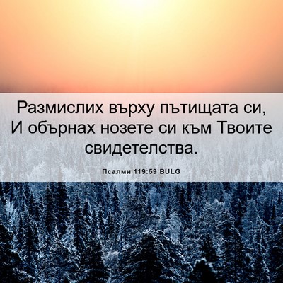 Picture 06 - Псалми 119:59 BULG - Размислих върху пътищата - Bible Verse Picture