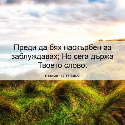 Picture 06 - Псалми 119:67 BULG - Преди да бях наскърбен аз - Bible Verse Picture