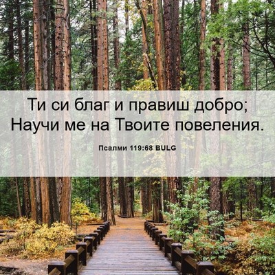 Picture 06 - Псалми 119:68 BULG - Ти си благ и правиш добро; - Bible Verse Picture