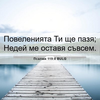 Picture 06 - Псалми 119:8 BULG - Повеленията Ти ще пазя; - Bible Verse Picture