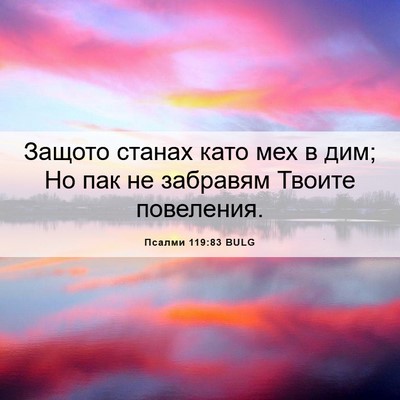 Picture 06 - Псалми 119:83 BULG - Защото станах като мех в - Bible Verse Picture