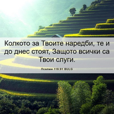 Picture 06 - Псалми 119:91 BULG - Колкото за Твоите наредби, - Bible Verse Picture