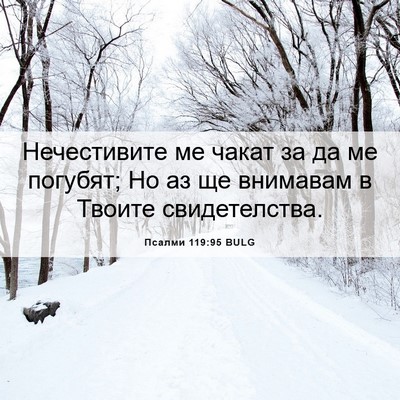 Picture 06 - Псалми 119:95 BULG - Нечестивите ме чакат за да - Bible Verse Picture