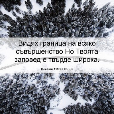 Picture 06 - Псалми 119:96 BULG - Видях граница на всяко - Bible Verse Picture