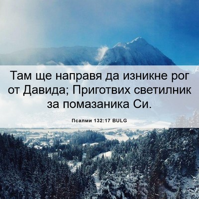 Picture 06 - Псалми 132:17 BULG - Там ще направя да изникне - Bible Verse Picture
