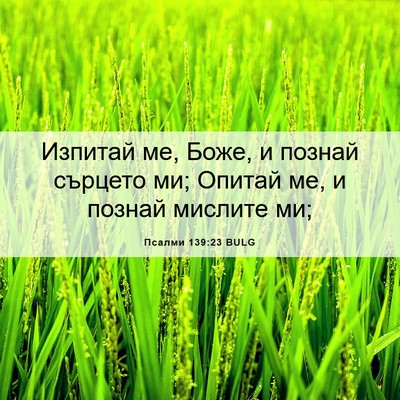Picture 06 - Псалми 139:23 BULG - Изпитай ме, Боже, и познай - Bible Verse Picture