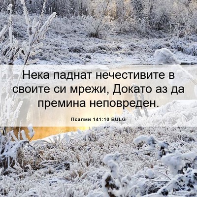Picture 06 - Псалми 141:10 BULG - Нека паднат нечестивите в - Bible Verse Picture