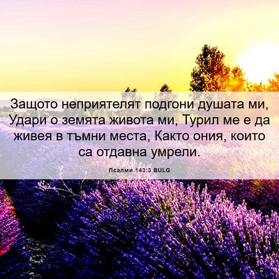 Picture 06 - Псалми 143:3 BULG - Защото неприятелят - Bible Verse Picture