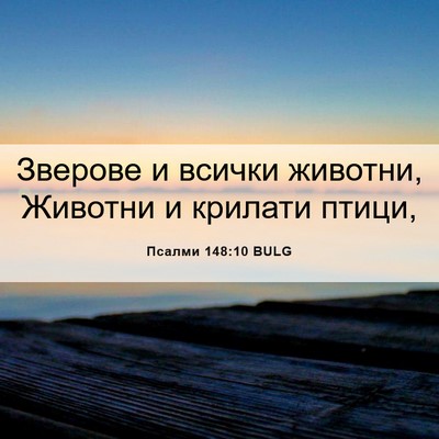 Picture 06 - Псалми 148:10 BULG - Зверове и всички животни, - Bible Verse Picture