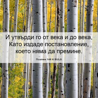 Picture 06 - Псалми 148:6 BULG - И утвърди го от века и до - Bible Verse Picture
