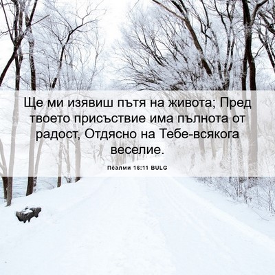 Picture 06 - Псалми 16:11 BULG - Ще ми изявиш пътя на - Bible Verse Picture
