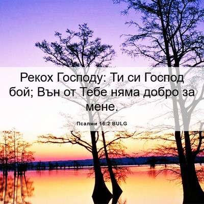 Picture 06 - Псалми 16:2 BULG - Рекох Господу: Ти си Господ - Bible Verse Picture