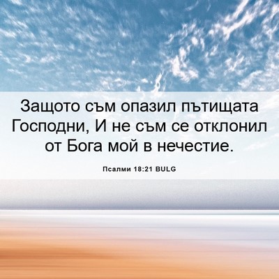 Picture 06 - Псалми 18:21 BULG - Защото съм опазил пътищата - Bible Verse Picture