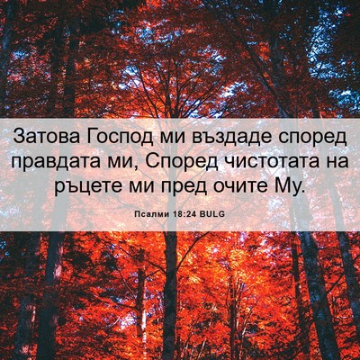 Picture 06 - Псалми 18:24 BULG - Затова Господ ми въздаде - Bible Verse Picture