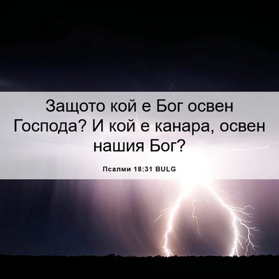 Picture 06 - Псалми 18:31 BULG - Защото кой е Бог освен - Bible Verse Picture