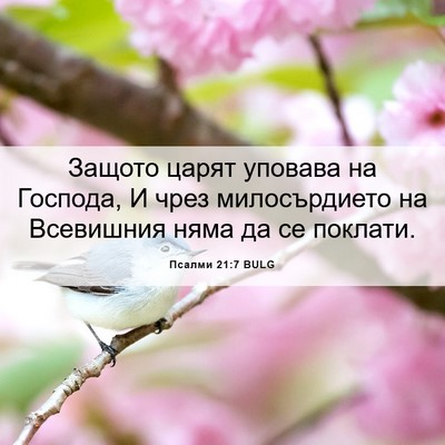 Picture 06 - Псалми 21:7 BULG - Защото царят уповава на - Bible Verse Picture