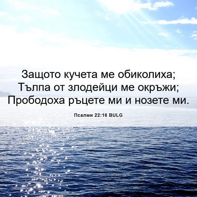 Picture 06 - Псалми 22:16 BULG - Защото кучета ме - Bible Verse Picture