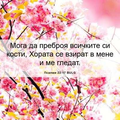 Picture 06 - Псалми 22:17 BULG - Мога да преброя всичките - Bible Verse Picture