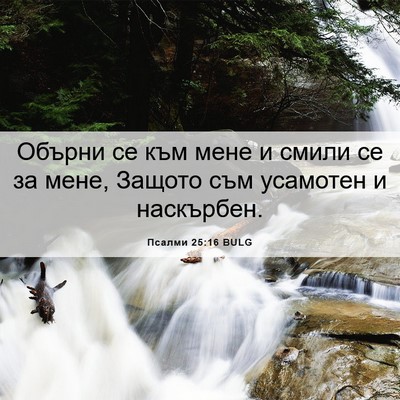 Picture 06 - Псалми 25:16 BULG - Обърни се към мене и смили - Bible Verse Picture