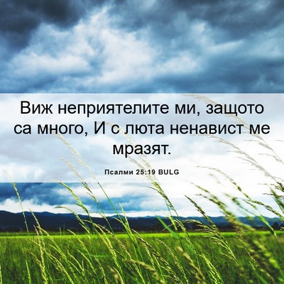 Picture 06 - Псалми 25:19 BULG - Виж неприятелите ми, - Bible Verse Picture
