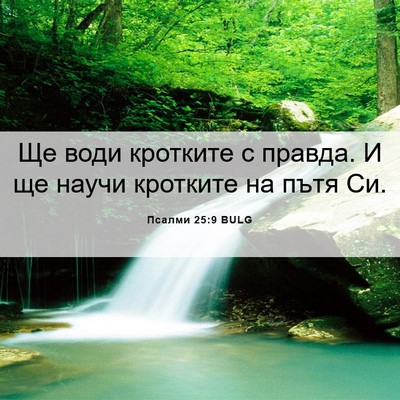 Picture 06 - Псалми 25:9 BULG - Ще води кротките с правда. - Bible Verse Picture