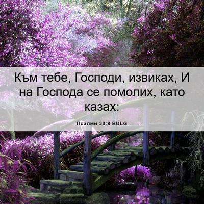 Picture 06 - Псалми 30:8 BULG - Към тебе, Господи, извиках, - Bible Verse Picture