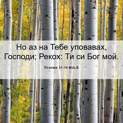 Picture 06 - Псалми 31:14 BULG - Но аз на Тебе уповавах, - Bible Verse Picture