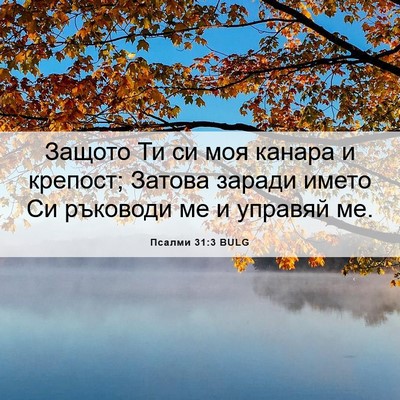 Picture 06 - Псалми 31:3 BULG - Защото Ти си моя канара и - Bible Verse Picture