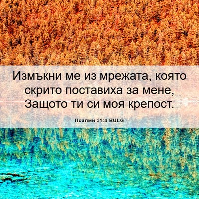 Picture 06 - Псалми 31:4 BULG - Измъкни ме из мрежата, - Bible Verse Picture