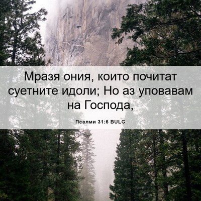 Picture 06 - Псалми 31:6 BULG - Мразя ония, които почитат - Bible Verse Picture