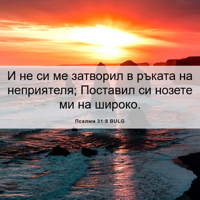 Picture 06 - Псалми 31:8 BULG - И не си ме затворил в - Bible Verse Picture