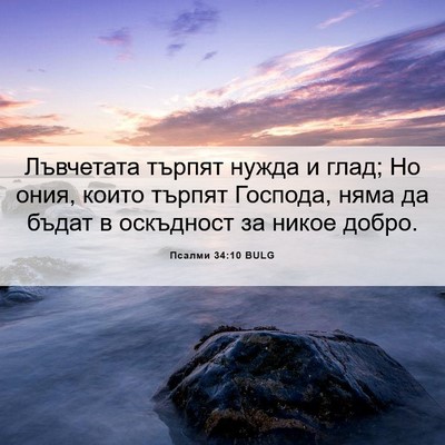 Picture 06 - Псалми 34:10 BULG - Лъвчетата търпят нужда и - Bible Verse Picture