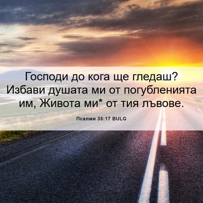 Picture 06 - Псалми 35:17 BULG - Господи до кога ще гледаш? - Bible Verse Picture