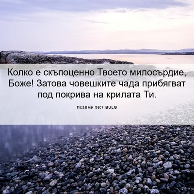Picture 06 - Псалми 36:7 BULG - Колко е скъпоценно Твоето - Bible Verse Picture