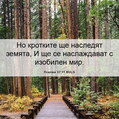 Picture 06 - Псалми 37:11 BULG - Но кротките ще наследят - Bible Verse Picture