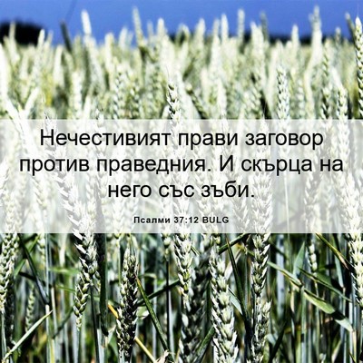 Picture 06 - Псалми 37:12 BULG - Нечестивият прави заговор - Bible Verse Picture
