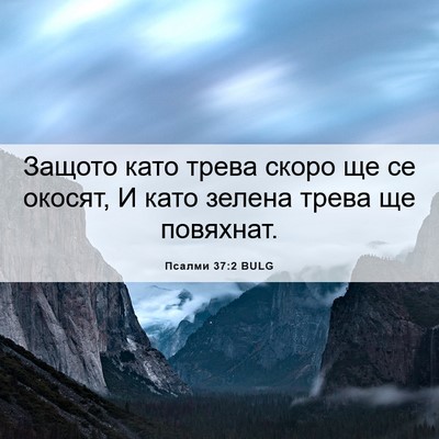 Picture 06 - Псалми 37:2 BULG - Защото като трева скоро ще - Bible Verse Picture