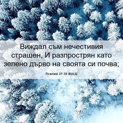 Picture 06 - Псалми 37:35 BULG - Виждал съм нечестивия - Bible Verse Picture