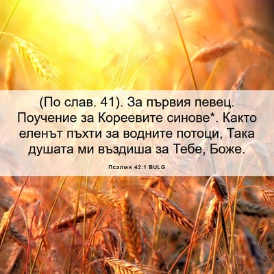 Picture 06 - Псалми 42:1 BULG - (По слав. 41). За първия - Bible Verse Picture