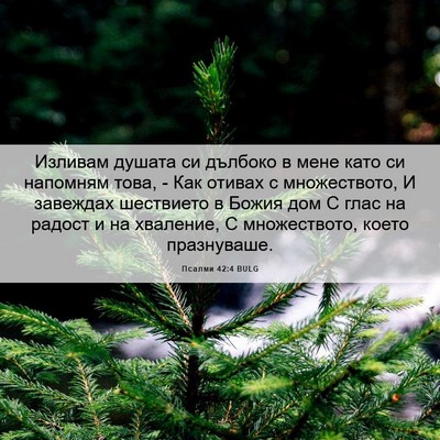 Picture 06 - Псалми 42:4 BULG - Изливам душата си дълбоко - Bible Verse Picture
