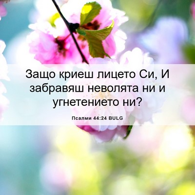 Picture 06 - Псалми 44:24 BULG - Защо криеш лицето Си, И - Bible Verse Picture