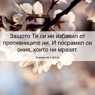 Picture 06 - Псалми 44:7 BULG - Защото Ти си ни избавил от - Bible Verse Picture