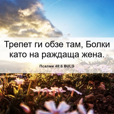 Picture 06 - Псалми 48:6 BULG - Трепет ги обзе там, Болки - Bible Verse Picture